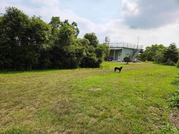 萬巒萬金教堂有資材室漂亮優質農地｜屏東縣萬巒鄉新庄段