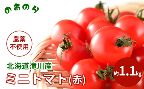  北海道 滝川市 産 ミニトマト (赤) 約1.1kg トマト 野菜 やさい みにとまと