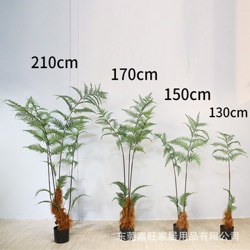 軟裝造景設計仿真假樹猴頭蕨室內植物仿生綠植金絲撅庭院裝飾盆栽