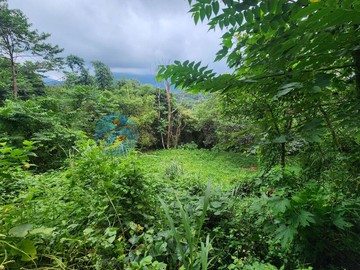 北埔湖尾美農地 近台3線/老街/綠世界｜新竹縣北埔鄉埔尾