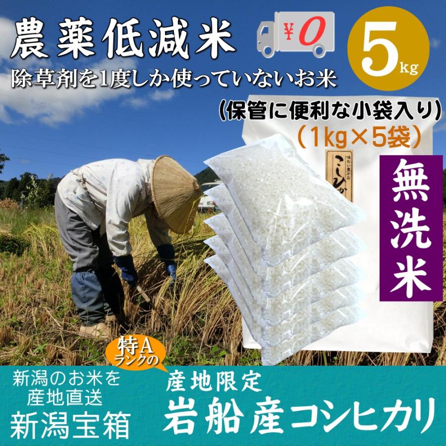 新潟県岩船産 コシヒカリ 無洗米 1kg×5袋 5kg 除草剤を1度しか使っていない米 お米 白米 特A 送料無料