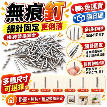 碳鋼無痕釘 DIY木工細釘 牆面掛畫釘 掛畫釘 碳鋼掛畫釘 木工DIY小釘 細鋼釘 無帽碳鋼釘 裝飾固定釘 P313