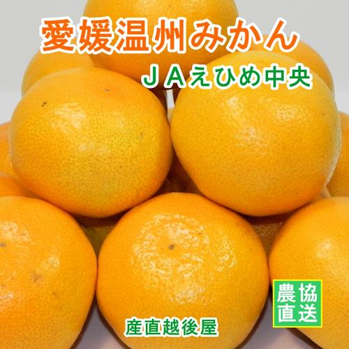 みかん 温州みかん 愛媛県 送料無料 愛媛県の農協 JAえひめ中央 早生温州みかん 10kg良 家庭用 農協産地直送便でお届け