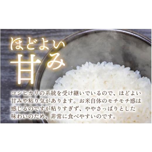 ふるさと納税 福井県 大野市 越前大野産 一等米 帰山農園の「てんたかく」2kg 合計6kg