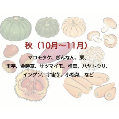 ふるさと納税 南伊豆町 湯の花の季節の野菜セット