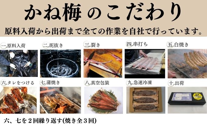 うなぎ 食べ比べセット 蒲焼き 白焼き 各1尾 国産 三河一色産