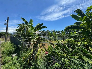郁飯糰四品牌獨家｜新社新農段千坪夢幻農地｜台中市新社區新農段