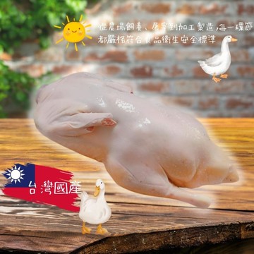 太空鴨(1500g/隻)全鴨 櫻桃鴨 紅面鴨母 紅面鴨公