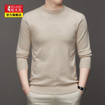 啄木鳥男士毛衫毛衣秋冬季新款圓領休閑中青年百搭保暖針織衫男裝