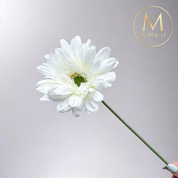 快速出貨🌷家居造景【Floral M】夏日繽紛小太陽非洲菊純潔白仿真花花材（3入組）