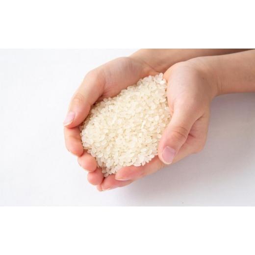 ふるさと納税 福岡県 うきは市 P403-10 みずほファーム UKIHA RICE (白米10kg×12ヶ月)