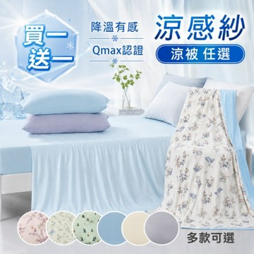 i預購 DB夢寢 買一送一 涼感紗冰冰被/四季被任選 (Q-MAX值0.43/涼被/涼夏)