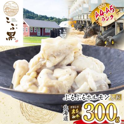 ふるさと納税 新ひだか町 北海道産 黒毛和牛 こぶ黒 しおホルモン 300g