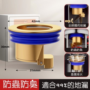 【曼徳旺】純銅材质地漏 防蟲防臭地漏 地漏 落水頭 防臭落水頭 地漏芯 地漏塞 衛生間地漏內芯 下水道蓋
