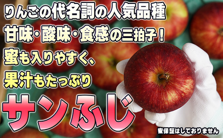 1月発送贈答用 葉取らず サンふじ 約5kg 