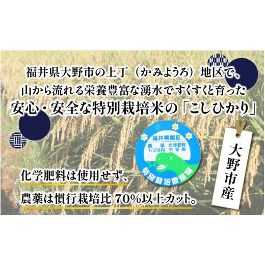 ふるさと納税 福井県 大野市 ベストファーマー ほたるの里 特別栽培こしひかり 6kg（2kg×3） × 3回 計18kg 化学肥料不使…