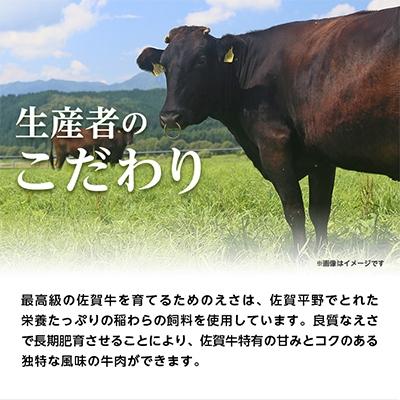 ふるさと納税 肉 嬉野市 佐賀牛A5焼肉用(ロース肉・モモ肉・ウデ肉・バラ肉)400g