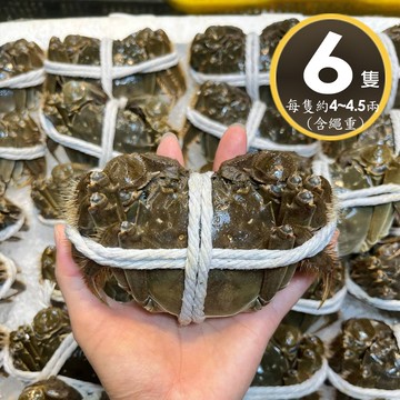 【華得水產】保證活蟹直送嚴 江蘇大閘蟹-公蟹(6隻_4-4.5兩/隻)-預購