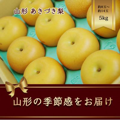 ふるさと納税 山形県 あきづき梨　秋月　約8玉〜約14玉　約5kg