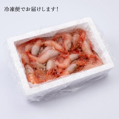 ふるさと納税 白老町 甘みにうっとり!冷凍甘エビ(300g×2箱)