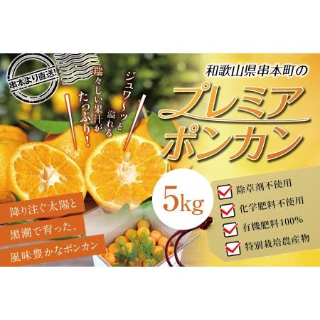 ふるさと納税 濃厚な甘さと風味！くしもとポンカン L〜2Lサイズ 5kg  有機率100%肥料 .. 和歌山県串本町