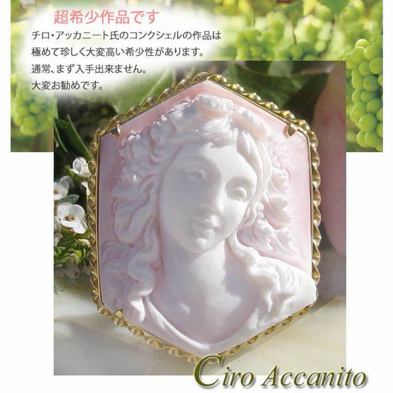 超希少作品 Ciro Accanito作 コンクシェル カメオ K18