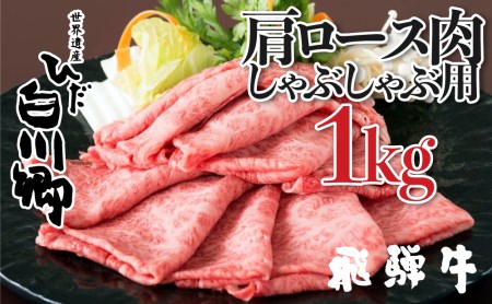 飛騨牛 すき焼き 食べ比べ 1kg (500g×2）肩 ロース 肉 もも 赤身 霜降り すきやき しゃぶしゃぶ 霜降り 飛騨 鍋 家族 友人と 牛肉 国産 岐阜県 黒毛和牛 和牛 A4 贅沢 祝 プレゼント 冷凍 人気 おすすめ ランキング お歳暮 敬老の日 ギフト JA ひだ [S114]