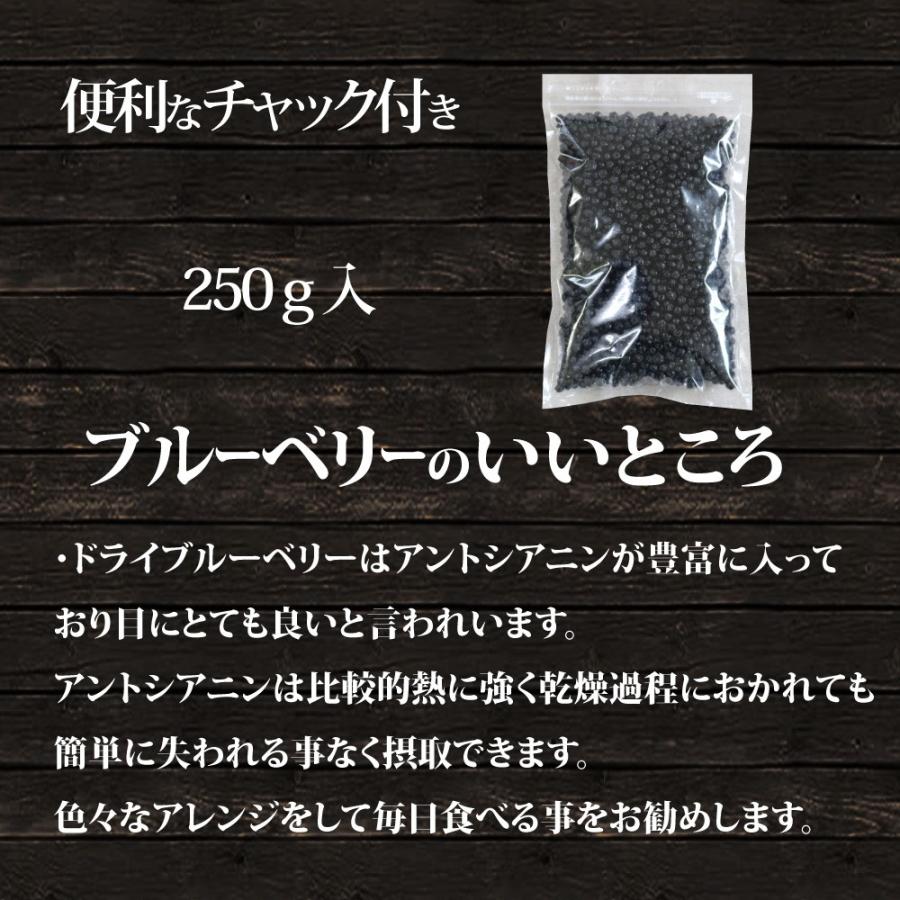 ドライブルーベリー　250ｇ　送料別　アメリカ産　ドライフルーツ　最安値　送料無料と同梱で送料無料！（北海道、沖縄は別途540円）