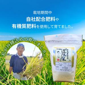 ふるさと納税 肥料屋厳選近江米コシヒカリ２kg 滋賀県守山市