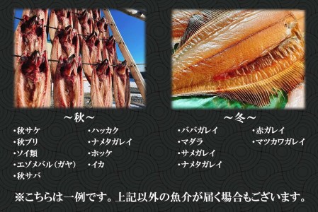 北海道産 旬のお魚 5種以上 豪華 お楽しみ詰め合わせ セット