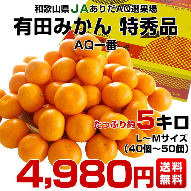 和歌山県より産地直送 JAありだ 有田みかん 糖度12度以上 特秀品「AQ一番」 LからMサイズ 5キロ(40玉から50玉) 送料無料 蜜柑 ミカン お歳暮 御歳暮