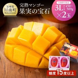 宮崎県産完熟マンゴー「果実の宝石」３Ｌ×２玉