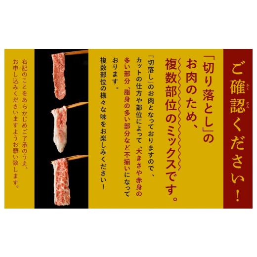 ふるさと納税 大阪府 泉佐野市 国産 黒毛和牛 切り落とし 合計1.2kg 小分け 400g×3パック 訳あり 部位不揃い