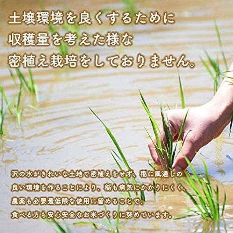 精米5ｋｇ令和4年産 秋田県産 あきたこまち 厳選米 米びつ当番天鷹唐辛子プレゼント付き