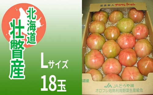 ＜2024年3月上旬より順次お届け＞北海道壮瞥産 オロフレトマト18玉入り（Lサイズ）野菜 トマト 産地直送 夏 旬 旬の野菜 とまと 季節商品 先行予約