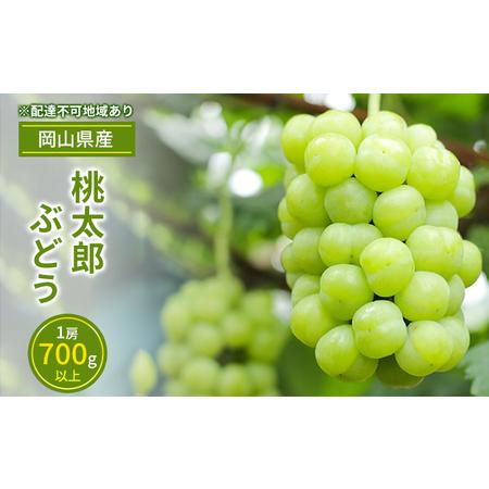 ふるさと納税 ぶどう 2024年 先行予約 桃太郎 ぶどう 1房（700g以上）化粧箱入り ブドウ 葡萄  岡山県産 国産 フルーツ 果物 ギフト 岡山県瀬戸内市