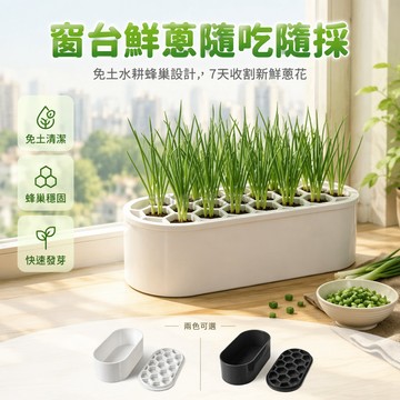 台灣出貨✨ 蔥花水培種植盒 免土水耕套組 陽台窗台家庭菜園 快速收割新鮮蔬菜 白色黑色可選