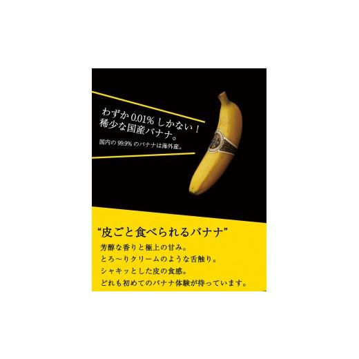 ふるさと納税 宮崎県 川南町 国産バナナNEXT716「6本」レギュラーサイズ