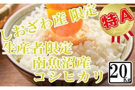 しおざわ産限定 生産者限定 南魚沼産コシヒカリ