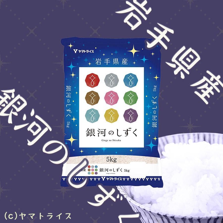 銀河のしずく 10kg 5kg×2袋  岩手県産 白米 令和5年産 うるち米 米 お米 ごはん お歳暮