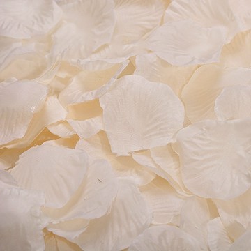 PartyBok.com 玫瑰花瓣花灑 500片  1套  香檳色