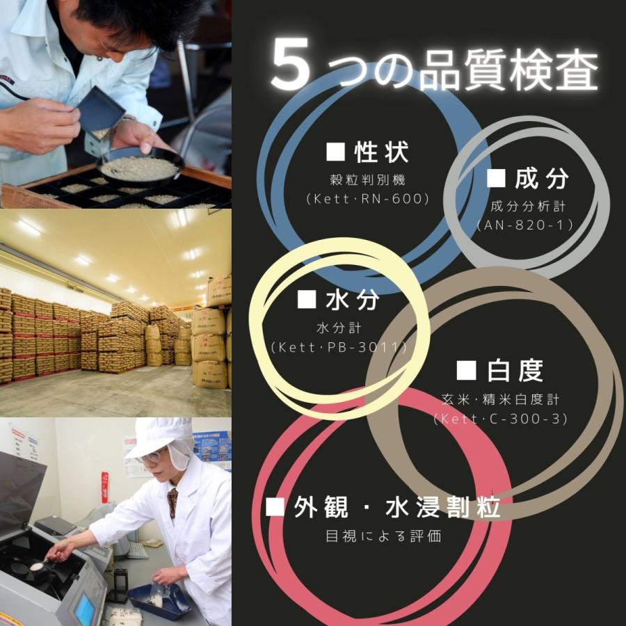 新米 米 お米 10kg コシヒカリ こしひかり 新潟産 5kg×2袋 本州送料無料 令和5年産