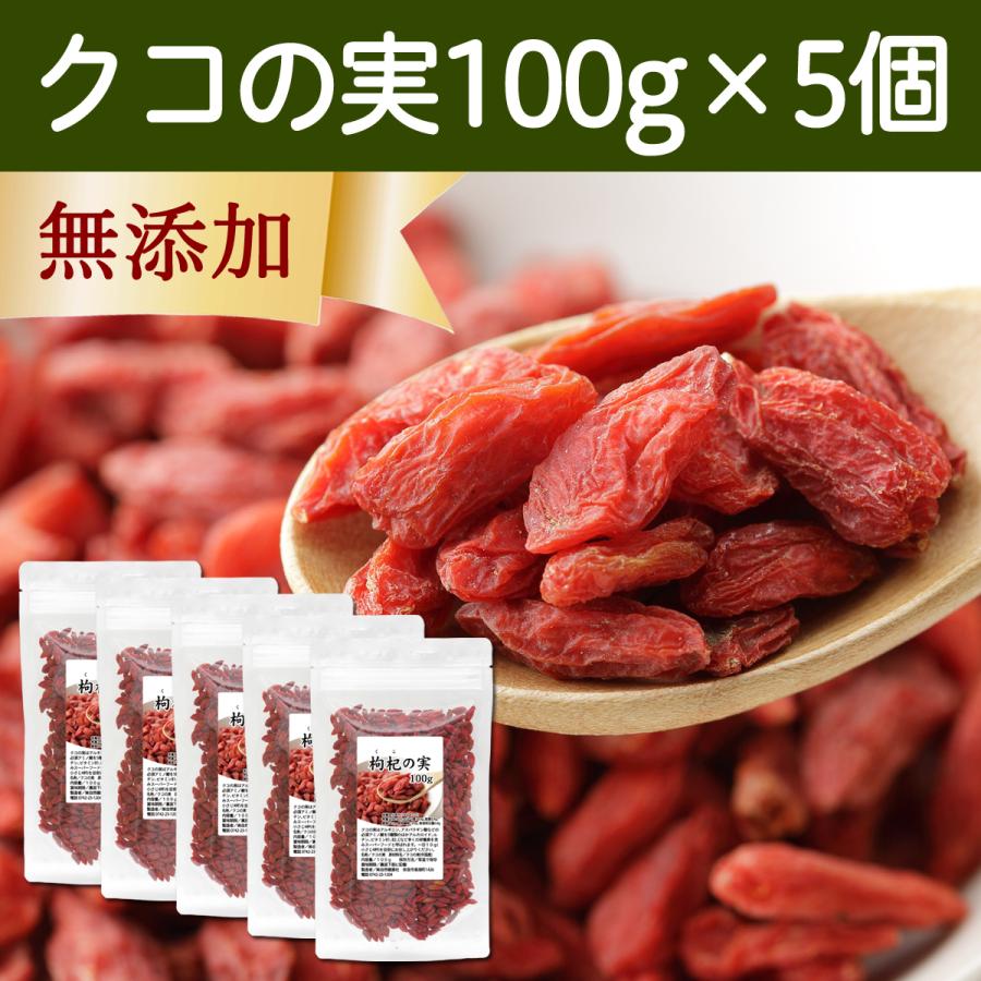 クコの実 100g×5個 ゴジベリー くこの実 無添加 クコ茶 ドライ