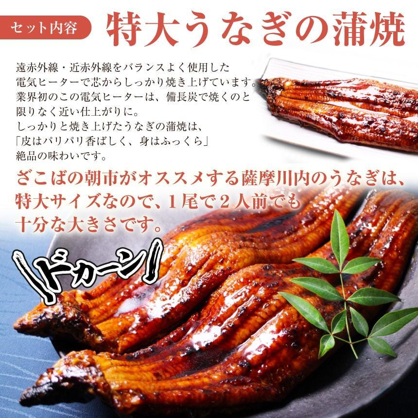 特大うなぎ蒲焼(185g〜215g）ｘ1本  国産　高級　冷凍便　九州産　ベストお取り寄せ大賞　銅賞受賞　贅沢　ギフト