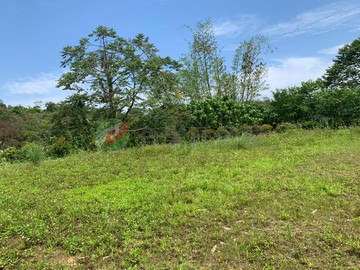 ★采吉★台中太平區悠活休閒山莊1.5甲農牧用地｜台中市太平區頭汴坑段
