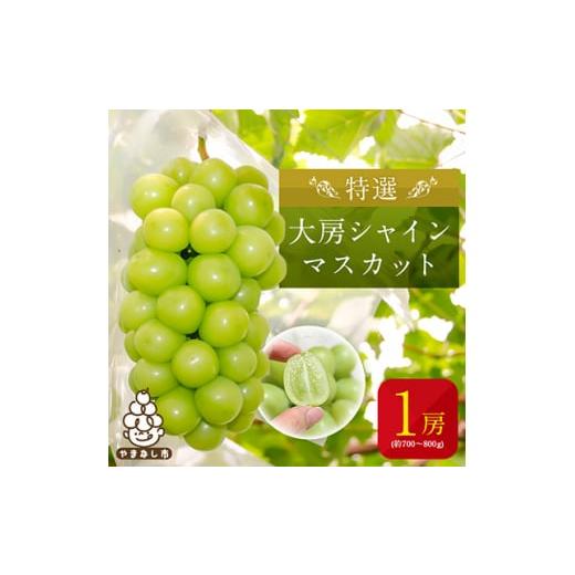 ふるさと納税 山梨県 山梨市 ＜2024年先行受付＞特選大房シャインマスカット1房(約700〜800g) ふるさと納税