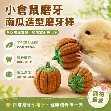 小倉鼠磨牙 磨牙棒 餅乾小南瓜造景用品草餅玩具金絲熊兔子用品 玩具 倉鼠玩具 倉鼠磨牙玩具 toy 倉鼠飼料 倉鼠磨牙棒