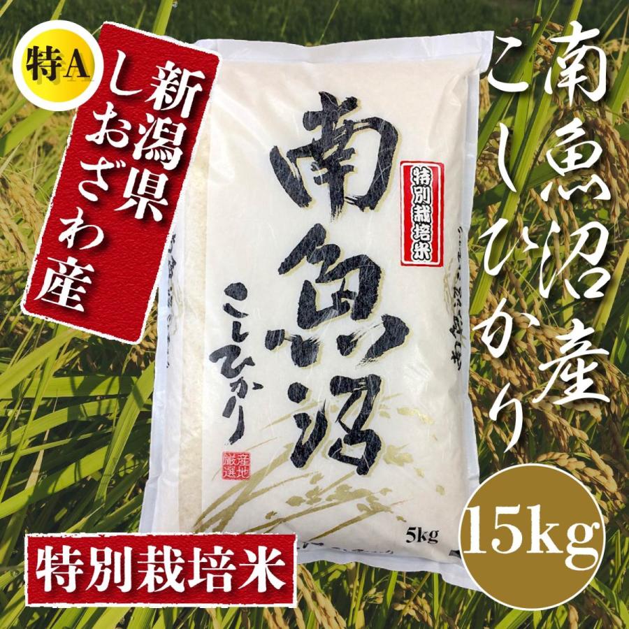  米 15kg 新潟 南魚沼 塩沢産 コシヒカリ 生産者限定米 令和5年産 