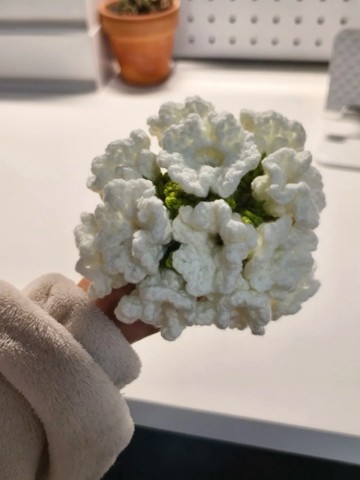 懶貓DIY🌷 鈴蘭花杯墊花束毛線手作編織diy材料包鉤針禮物無聊解悶鉤織毯子 手作材料包 交換禮物 母親節花束