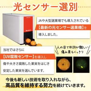 ふるさと納税 ＼光センサー選別／こだわりの完熟有田みかん 約8kg ◇有機質肥料100% ※2023年11月中旬頃〜2024年1月上旬頃に順次発送予定 ※北.. 和歌山県美浜町